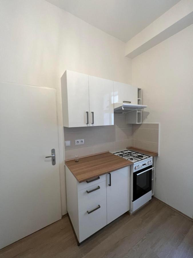 Soukenicka Apartment Prag